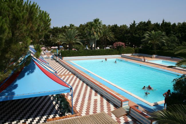 Piscina esterna con bordo decorato e alberi intorno.