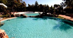 Piscina immersa nella natura con alberi e spiaggia sabbiosa.