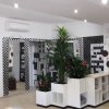 Hall moderna con piante e motivi geometrici sulle pareti.