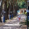 Camping Serenella