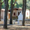 Camping Serenella