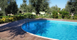 Una piscina rotonda in un giardino con alberi e prato verde intorno.