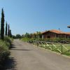 Un viale fiancheggiato da cipressi e cespugli, con villette e recinzioni in legno lungo il percorso.
