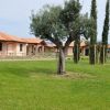 Casa con tetto rossa e prato verde con albero.