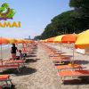 Spiaggia con ombrelloni arancioni e gialli, logo Mamai in alto a sinistra.