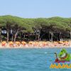 Vista del mare verso una spiaggia con ombrelloni arancioni, logo Mamai in basso a destra.