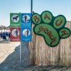 Cartello "Bau Beach" su una spiaggia per cani.