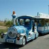 Un trenino turistico azzurro e bianco su una strada in un parco.