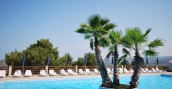 Piscina con palme al centro, circondata da sedie a sdraio e ombrelloni.