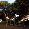 Parco giochi con scivolo blu sotto grandi pini.