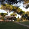 Casa circondata da alberi alti e giardino verde.