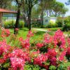 Jesolo Mare Family Camping Village