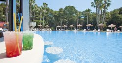 Due cocktail sul bordo di una piscina, circondata da lettini e palme.