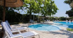 Piscina piccola con lettini a strisce blu, ombrelloni di paglia e alberi verdi attorno.