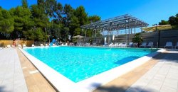 Piscina circondata da alberi e sedie a sdraio.