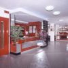 Hotel Palmarosa