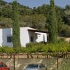 Una casa bianca tra alberi e auto parcheggiate.