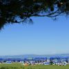 Una spiaggia con lettini e ombrelloni blu, un cielo sereno e alberi in primo piano.