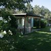 Bungalow immersi nel verde, con verande e sentiero tra aiuole fiorite.