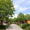 Case mobili con giardino e alberi su una strada asfaltata sotto un cielo blu.