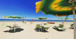 Spiaggia sabbiosa con ombrelloni verdi e sdraio, vicino al mare.