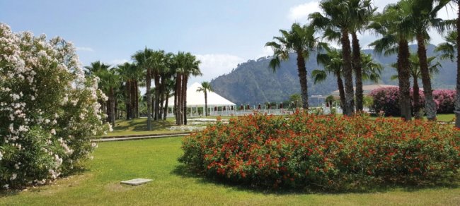 Giardino con palme e arbusti fioriti.