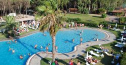 Piscina affollata circondata da prati, lettini e palme, con persone che nuotano.