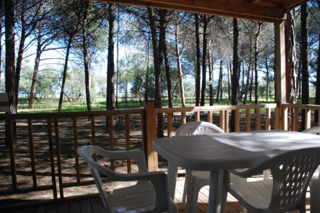 Tavolo con sedie in veranda sotto gli alberi.