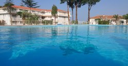 Ampia piscina all'aperto con edifici bianchi sullo sfondo e alberi alti.