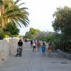 Una passeggiata alberata con persone che camminano.