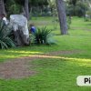 Cerrano Park Resort