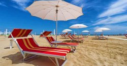 Piscina rettangolare con piastrelle bianche e nere, palme al centro.