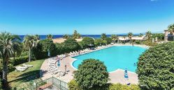 Piscina circondata da lettini e ombrelloni, con vista sul mare e palme intorno.