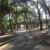 Villaggio Camping Pineta Di Sibari