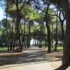 Villaggio Camping Pineta Di Sibari