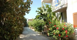 Un viale con piante, fiori rossi e un edificio bianco.