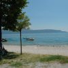 Albero vicino a una spiaggia di ghiaia, con biciclette parcheggiate e barche sull'acqua.