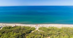 Spiaggia con vegetazione e mare calmo, cielo limpido all'orizzonte.