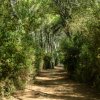 Baia dei Turchi Resort Hotel - Adults Only