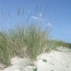 Riva Di Ugento Beach Camping Resort
